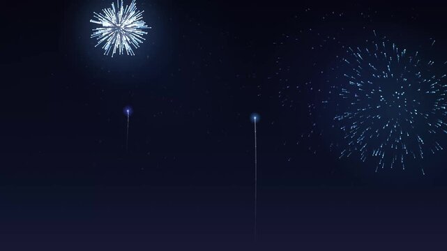 Blue and White Fireworks Display Exploding in Dark Night Sky