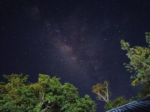 night sky and stars