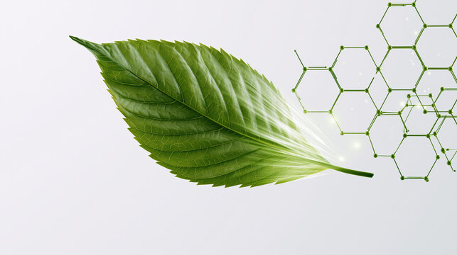 Glowing translucent green leaf with detailed veins merges with hexagonal molecular structure, symbolizing nature and science connection in bright, clean background