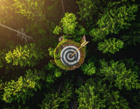 Aerial View of Forest with Target and Arrow Sustainability Concept, shot from above,