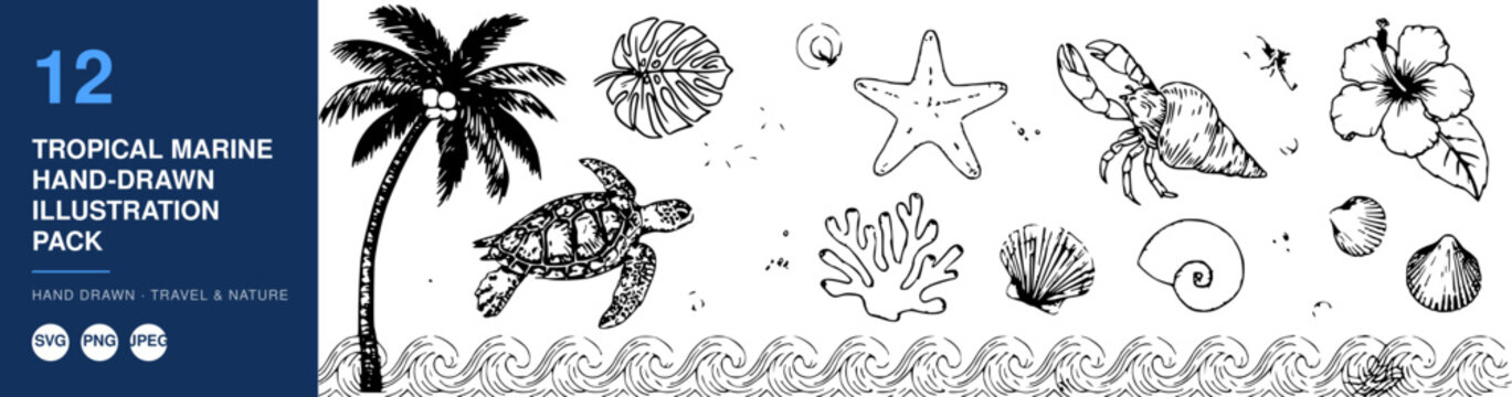 Tropical Marine Animals and Plants Hand-Drawn Illustration Pack Featuring Turtles, Shells, Corals, and Palm Trees