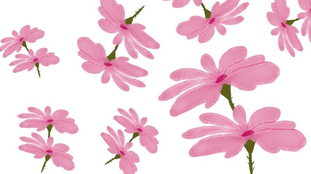 Blooming flower pattern animation, pink floral background, beautiful and environmentally friendly botanical design, suitable for wedding invitations.