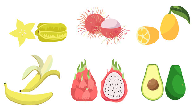 Exotic fruits set with starfruit rambutan orange banana dragon fruit and avocado whole and sliced vector illustration collection