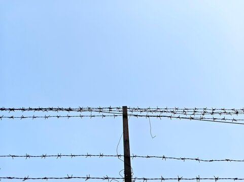 barbed wire fence