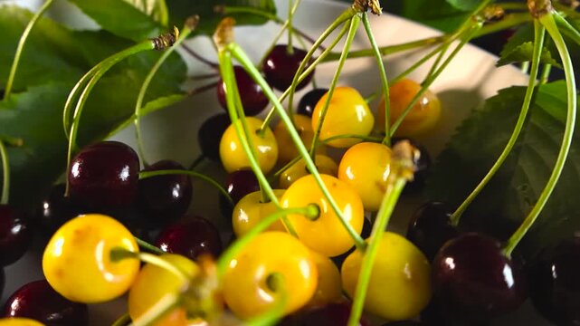 Beautiful macro shot showing a mix of ripe red and yellow cherries with green leaves and stems, creating a colorful and delicious natural background, perfect for food related projects