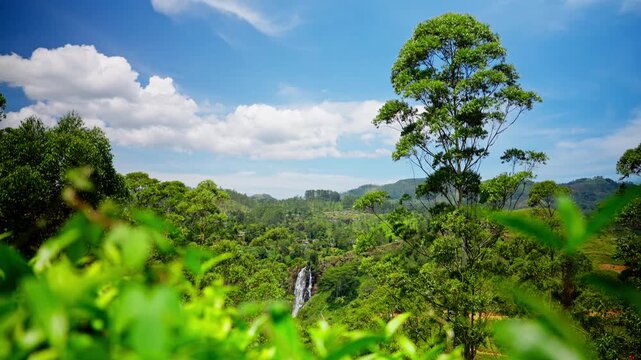 A slender waterfall cascades down a distant forested cliff seen across the green canopy of a tea estate in the central highlands of Sri Lanka.
