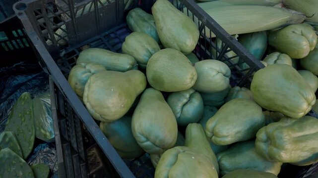 Fresh chayotes displayed in a plastic crate at a traditional market in Mexico, showcasing a popular edible vegetable ready for sale and everyday cooking