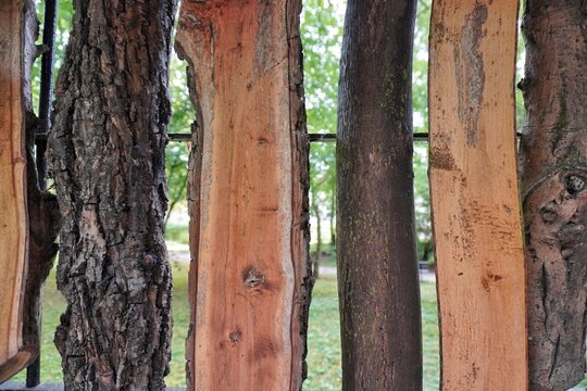 Rustic wooden fence made of natural tree bark and logs with a green park background