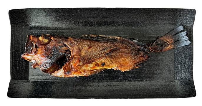 はぶて焼き 1匹の切り抜き。広島県の自家製郷土料理・手作りメバルの焼き魚・和食の家庭料理や瀬戸内の魚料理用フードデザイン素材