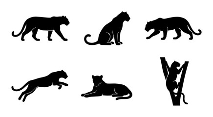 Obraz premium Black leopard silhouette set, wild panther vector icons, 6 big cat animal graphics in walking and jumping poses