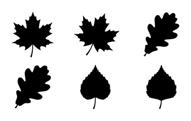 Fototapeta premium Black leaf silhouettes set, 6 autumn tree foliage icons, maple and oak leaf vector shapes for fall design projects