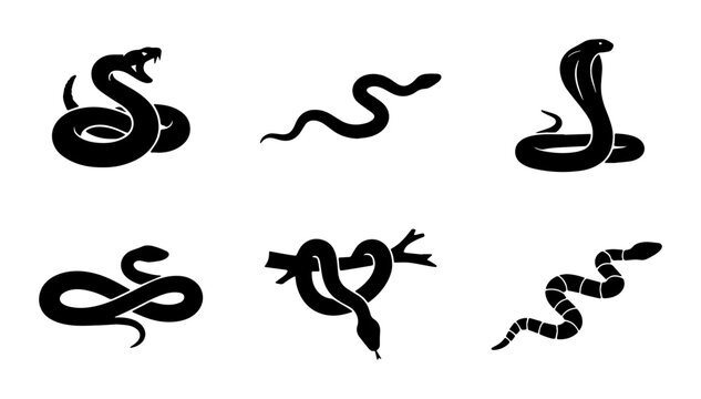 Black snake silhouette collection, 6 serpent vector icons set. Minimalist cobra and viper graphics, wild reptile illustrations for logo design.