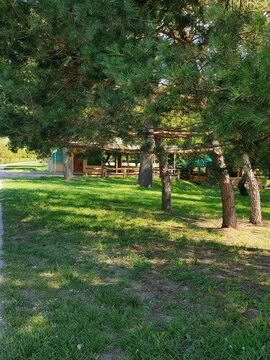 Zhuravlevka Park in the city of Kharkiv, Ukraine, is a beautiful park by the river.