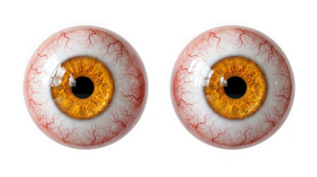 Two realistic human eyeballs with amber irises and visible red capillaries isolated on transparent background