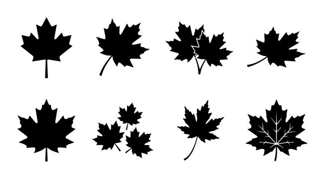 Canadian Maple Leaf Vector Icons Set, Autumn Foliage Silhouettes, Fall Season Nature Elements