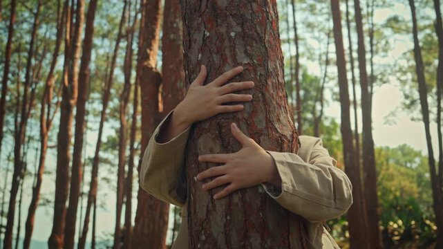 Woman embracing tree trunk with both hands in peaceful pine forest, connecting with nature and environmental wellness concept