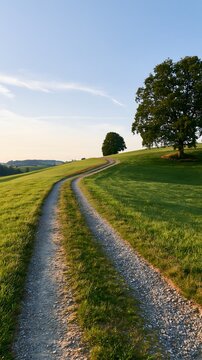 L&auml;ndlicher Schotterweg neben alter Eiche in gr&uuml;ner Schweizer Sommerlandschaft