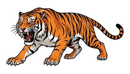 Obraz premium Angry growling tiger vector illustration featuring fierce crouching siberian tiger mascot with bared fangs roaring isolated on white