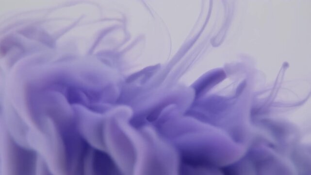 Deep violet color diffuses beneath translucent pale surface, spreading outward in organic waves against soft ivory with delicate artistic texture, gentle motion, and minimalist composition.