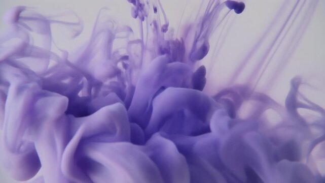 Deep violet color diffuses beneath translucent pale surface, spreading outward in organic waves against soft ivory with delicate artistic texture, gentle motion, and minimalist composition.