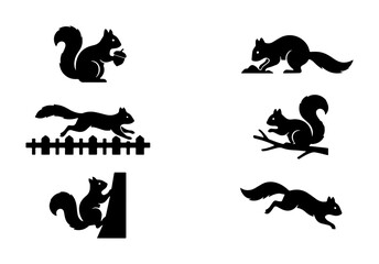 Obraz premium Vector Silhouette Squirrel Icons Set, Woodland Wildlife Animal Graphics, Nature Forest Creatures Collection