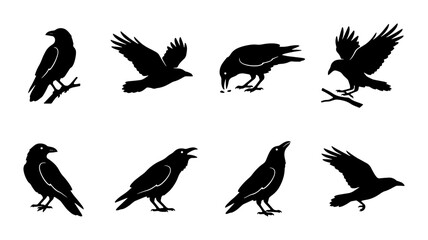 Naklejka premium Black Raven Silhouettes Set, Flying and Perched Birds Vector Icons, Gothic Animal Graphics