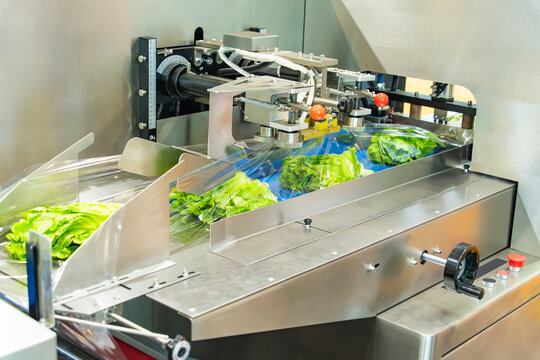 Food package wrapping machinery. Vegetable and fruit on flow packing machine. Food industry