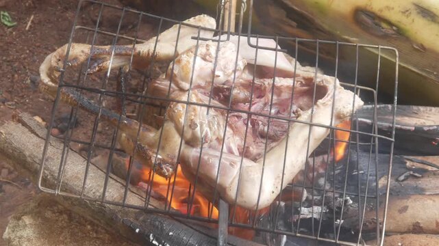 A whole chicken is being grilled using iron tongs over a traditional wood fired stove.