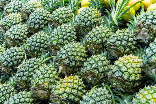 fresh ripe pineapples is tropical fruit