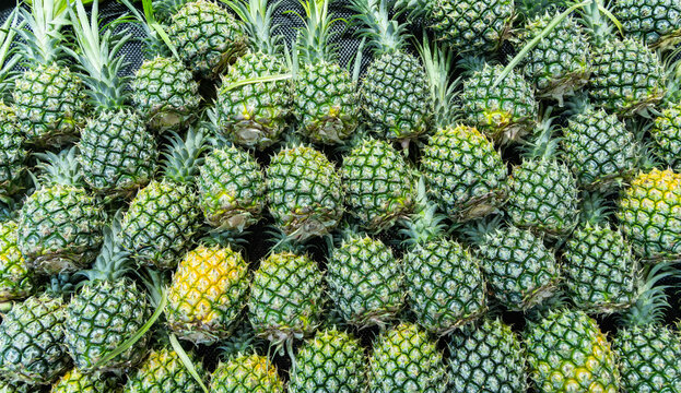 fresh ripe pineapples is tropical fruit