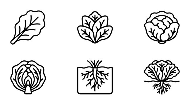 Leafy Greens Icons, Fresh Vegetable Vector Graphics, Healthy Food Line Art Collection, Organic Produce Symbols