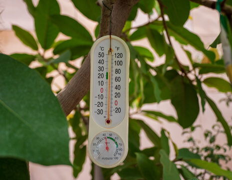 Analog thermometer and hygrometer hanging on a tree among green leaves, measuring temperature and humidity in a garden environment.
