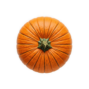 Top view of a fresh orange pumpkin isolated on transparent background