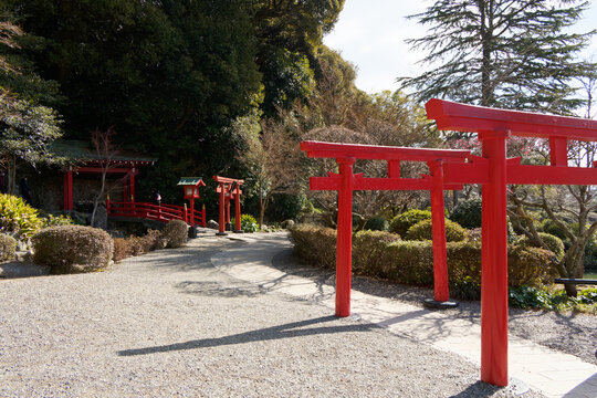 ibrant red vermilion Torii gates along a path leading to a traditional Japanese Shinto shrine bridge in a peaceful garden under bright sunlight.