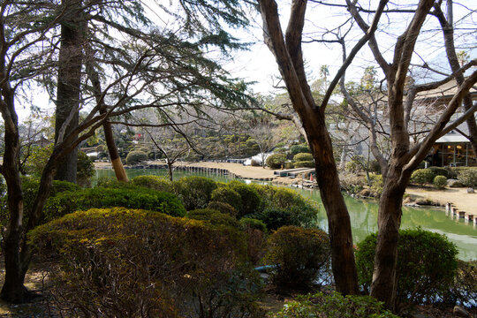Scenic Japanese garden framed by foreground tree trunks and lush shrubs, looking over a calm green pond under bright daylight.
