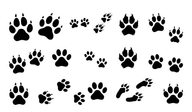 Cat and dog paw print stencil set, black pet footprints hand drawn vector collection