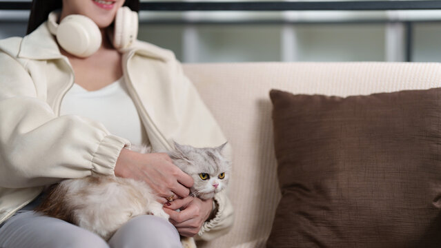 Asian woman petting cute cat on sofa at home for pet companionship