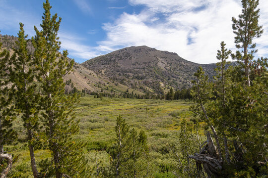 Mt Rose Summit rising above a meadow in the Lake Tahoe Basin