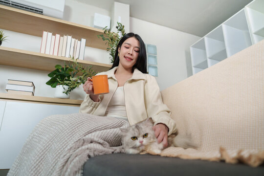 Asian woman drinking coffee and petting cat on sofa for cozy home relaxation
