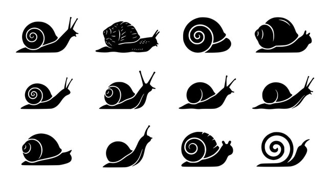 :
Snail Silhouette Vector Icon Set with Cute Garden Mollusk and Shell Designs