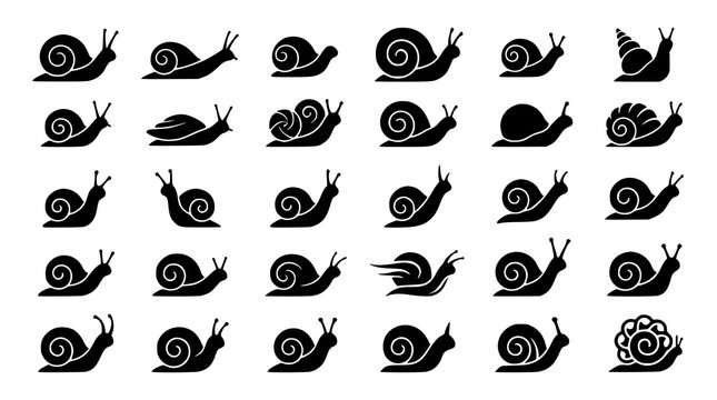 :
Snail Shell Black Silhouette Vector Icon Collection for Nature Garden and Logo Design