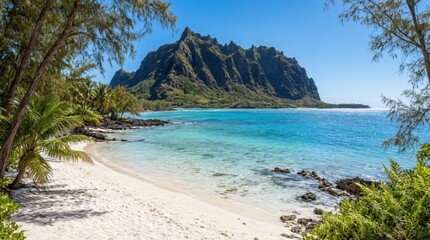 Fototapeta premium Tropical Beach with White Sand Palm Trees and Turquoise Water