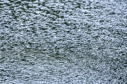 rainwater puddle on asphalt road surface with ripple reflection. shallow depth.