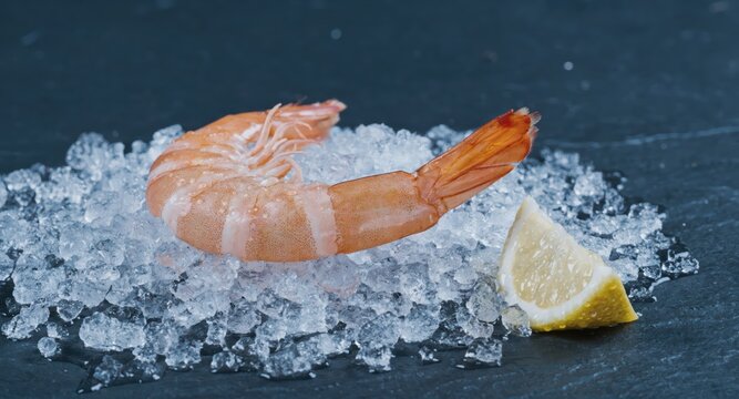Single shrimp on crushed ice with lemon wedge on dark slate closeup cold presentation seafood freshness chilled serving minimal garnish