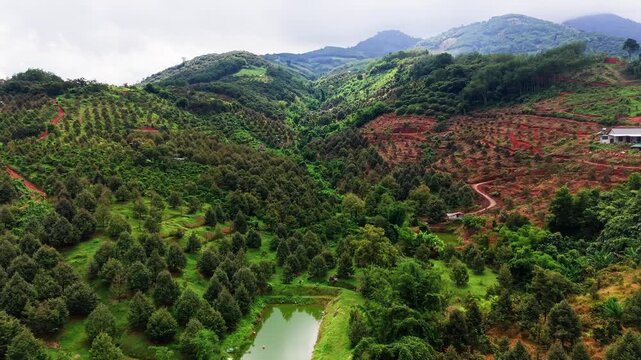 Clouds hover over green hills and fields in Da Huoai 3, Lam Dong, Vietnam. A small pond reflects the surroundings. The land shows signs of farming and human activity.
