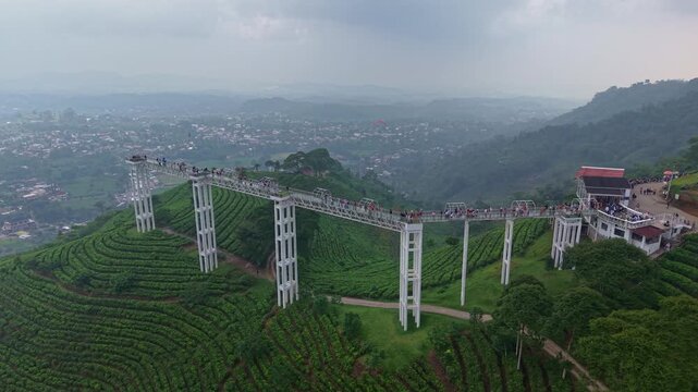 Aerial shot of skywalk bridge over green tea plantation hills in Indonesia. Adventure, tourism, and misty highland landscape footage.