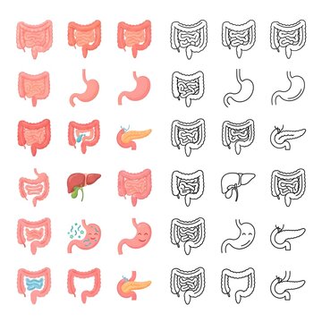 Digestive system organs icons set with color and outline