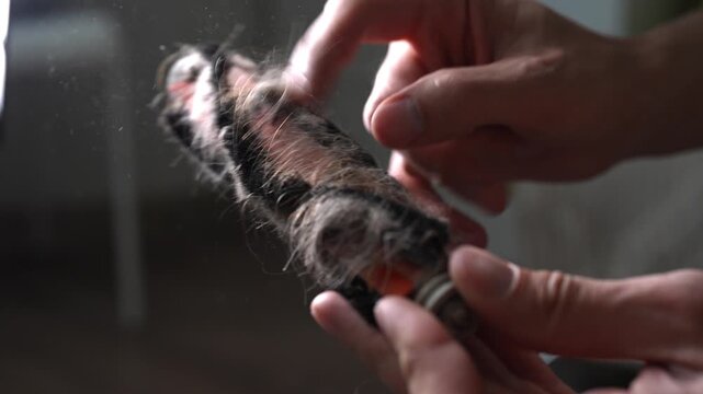 Close-up of person cleaning dirty vacuum cleaner roller brush. Hands manually pull remove tangled long hair, dust, debris from clogged bristles. Household chores appliance maintenance, slow motion.