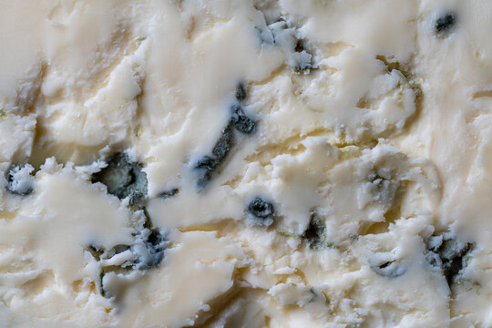 Blue cheese texture macro background. Closeup texture of gourmet blue cheese with mold veins as abstract food background