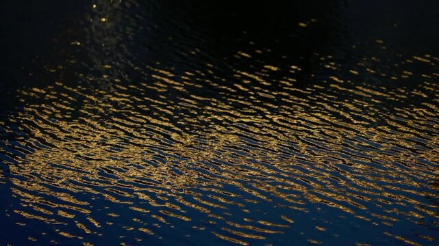 Golden light from nearby buildings blends with deep blue tones as gentle ripples distort the reflections into flowing patterns. Small water drops form expanding circles, adding natural movement and te